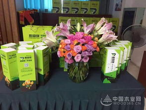 共謀發(fā)展，鵬森緣柳州客戶交談會(huì)盛大舉行，禮品花卉銷售迎春綻放