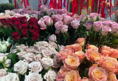 七夕禮品新風(fēng)尚 實(shí)用型禮物走俏，花卉市場(chǎng)綻放浪漫經(jīng)濟(jì)